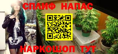 прущие грибы Кумертау