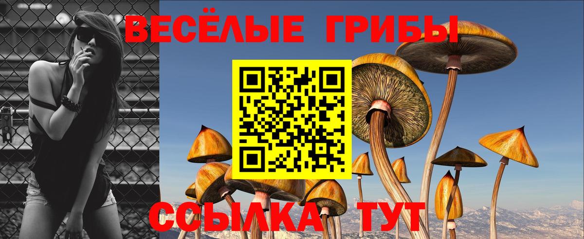 Псилоцибиновые грибы мухоморы Краснотурьинск